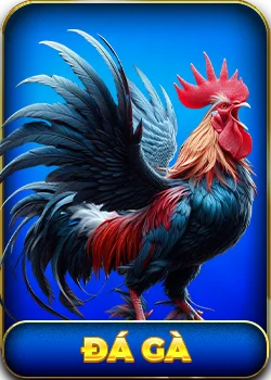 icon sảnh đá gà nhà cái 88clb